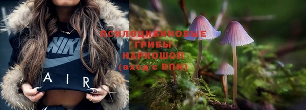 стаф Балахна