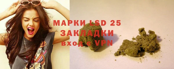 стаф Балахна