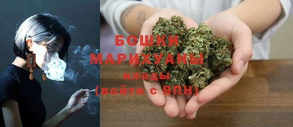 стаф Балахна