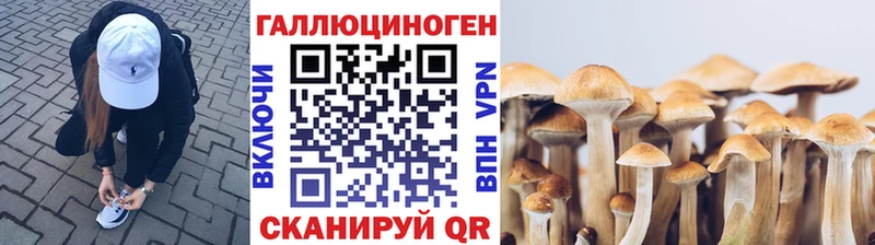 Галлюциногенные грибы ЛСД  ссылка на мегу маркетплейс  Геленджик  хочу наркоту 